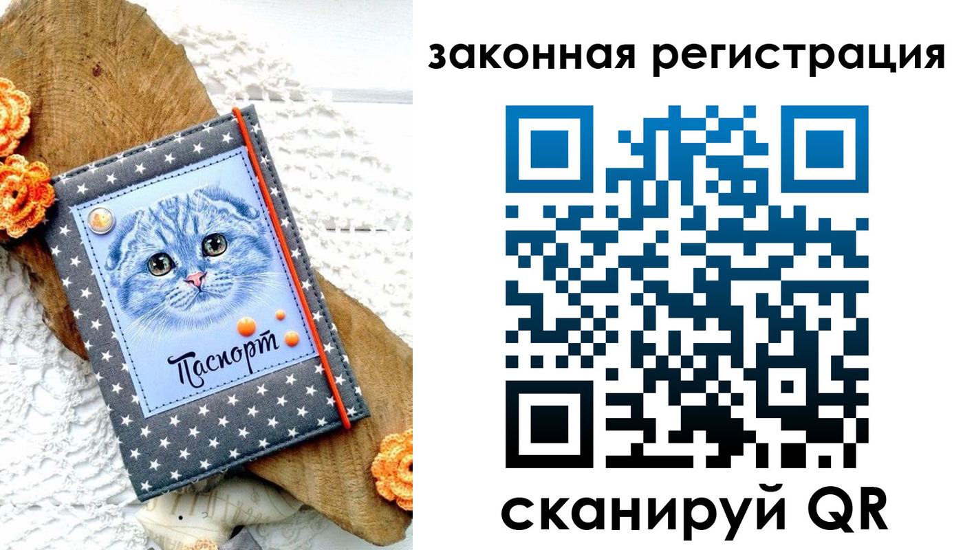 регистрация в Торопеце
